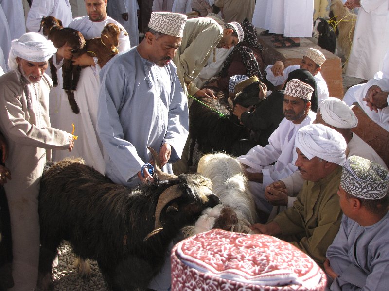 040211_nizwa geitenmarkt.JPG - Kopers van de markt zitten in een rond middendeel. Verkopers zoeken een handelaar, en deze handelaar loopt rond het middendeel met de koopwaar. Volgens Khalid kost de gemiddelde geit ongeveer 60 euro.